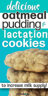 Easy Oatmeal Pudding Lactation Cookie Recipe Milkology Lactation Cookies Recipe Lactation Cookies Easy Lactation Cookies