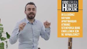 Apartmanda Kopek Beslemek Suc Mu Atilabilir Mi 2019i Herkese Hukuk Hayvan Haklari Kopek Hayvan