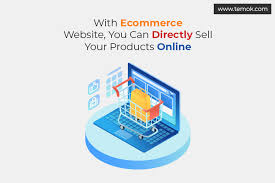 Web source provides much more than an address. 17 Types Of Websites That Make Money Online And Can Be A Permanent Source Of Your Income Temok Hosting Blog