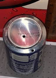 Image result for Pepsi Cola Red 1995 Fleet