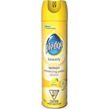 We did not find results for: 390 G Pledge Furniture Polish Aerosol Lemon Scented Sammaco