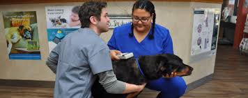 Since 1987, pet care center has been providing animal hospital services, pets and other animal specialties from montgomery. Microchip Your Pet Microchipping For Dogs And Cats In Montgomery