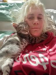 Lost and found pet in La Plata County, Durango area