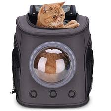 Backpacks are so much fun because they allow your kitty to adventure and join with you on trips, and they look adorable while doing so. Lollimeow Large Cat Backpack Carrier With Bubble Pet Backpack For Fat Cats And Dogs Puppies Buy Online In El Salvador At Elsalvador Desertcart Com Productid 181158416