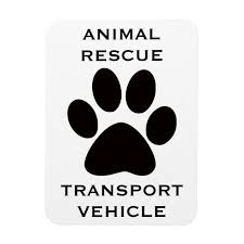 Car Magnet Animal Rescue Transport Vehicle Magnet Zazzle Com In 2021 Vehicle Magnets Animal Rescue Animal Rescue Logo