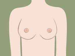 Nippel-Typologie: Sehen eure Brustwarzen normal aus? | BRIGITTE.de
