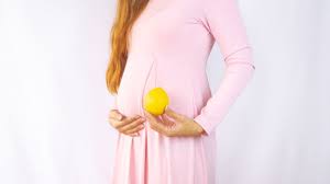 Meningkatkan fungsi sistem kekebalan tubuh. Manfaat Jeruk Lemon Untuk Ibu Hamil Apa Saja