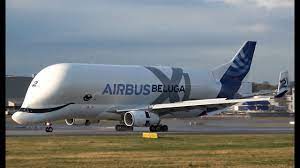 Much like the animal it is named after, the beluga xl has a distinctive hump to its shape that is larger than. New Amazing Super Transporter Airbus Beluga Xl Landing At Airbus Factory Hamburg In 4k Youtube