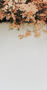 Flowers Background Iphone Wallpapers Wall Papers 46 Ideas Flowers Photography Wallpaper Vintage Flowers Wallpaper Beautiful Flowers Wallpapers