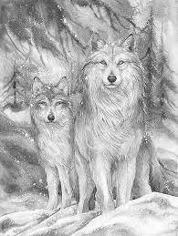 epingle par eva gubik sur kleurplaten animaux a colorier coloriage zen de perroquet