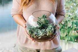A terrarium or succulent garden. Create A Mini Indoor Garden With This Succulent Terrarium Diy The Green Hub