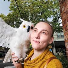 Where to find organic birthday cakes with natural dyes?