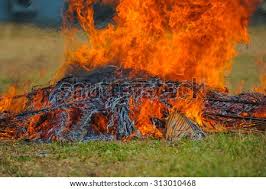 Shop with afterpay on eligible items. Fire Camp Fire Wood Chips In A Natural Environment Stock Images Page Everypixel