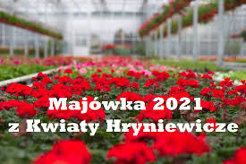 Majówka upłynie nam ponownie pod znakiem obostrzeń. Kzeqdpdrqlxixm