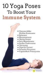7 Yoga Poses To Boost Your Immune System How To Stay Healthy Yoga Poses For Beginners Immune System