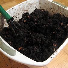 Worm tea may not sound too appetizing but your plants will really love it. How To Use Vermicompost On Your Plants Finegardening
