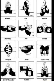It Is Now My Life Goal To Memorize These Seriously It S On My New Years Resolutions List Naruto Shippuden Naruto Naruto Shippuden Sasuke