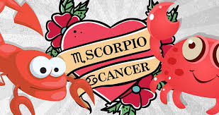 What is a scorpio's best friend? Cancer And Scorpio Compatibility Love Sex Relationships Zodiac Fire