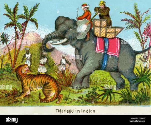 hunt, big-game hunting, tiger hunt, British big-game hunter, hunter is riding on elephant, India, lithograph, circa 1860, Additional-Rights-Clearences-Not Available Stock Photo - Alamy