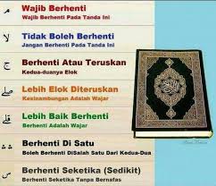 Pin Di Tips