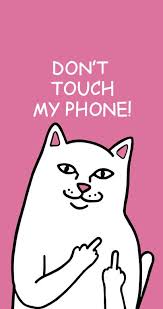 Browse thru our wallpaper and history in your desktop and smartphones. Ripndip Lord Nermal Phone Wallpaper Hd 4096 2160 Free Wallpaper Download Free Wallpap Funny Phone Wallpaper Funny Iphone Wallpaper Phone Wallpapers Vintage
