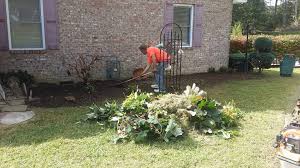Jun 24, 2021 · jeannette silver obituary. 1st Choice Tree Service Home Facebook