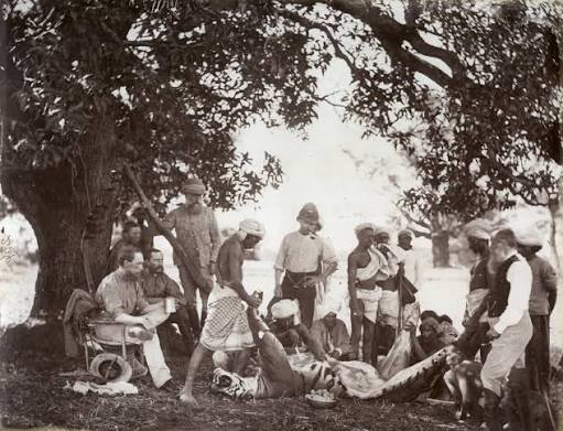 File:1876 1877 1878 1879 Tiger hunting sport in British India, poaching for trophy skin and head.jpg - Wikimedia Commons