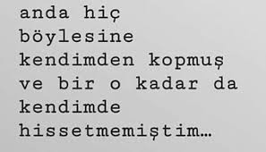 Albert Camus Albert Camus Guzel Soz Hayat