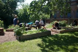 The average house price in saunders park rise, brighton bn2 is £411,634. Saunders Park Edible Garden Brighton And Hove Food Partnership