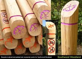 Colourful Timber Waymarkers Different Symbols Represent Different Trails C Eleventh Hour Design Interpretive Signage Park Signage Outdoor Signage
