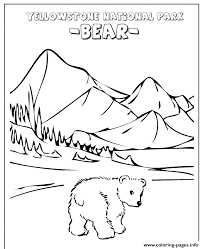 Worksheets to learn and practise english vocabulary, grammar and expressions, including crosswords, wordsearches, word games, tests and quizzes. Cute Baby Bear At Yellowstone Park Coloring Pages Printable