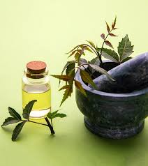 Add a few drops of neem oil directly to hair and scalp, gently massage and leave on for at least 30 minutes before rinsing (tip: Benefits Of Neem Oil For Skin Hair Utkal Today