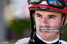 62 Tampa Manatee Stock Photos, High-Res Pictures, and Images