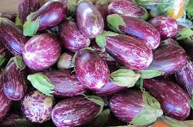 Here is one variety of eggplant. How Do I Grow Eggplant Planting Care Harvest Guide Joegardener