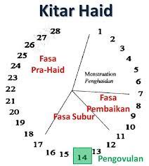 Jika dikaitkan dengan waktu dalam sehari, maka masa subur cowok terbaik adalah saat dini hingga 2. Cara Mengetahui Waktu Subur Wanita