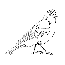Finch Print Instant Download Modern One Line Drawing Etsy Line Drawing Bird Art Art