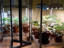 Pin On Garden Tips Knowledge