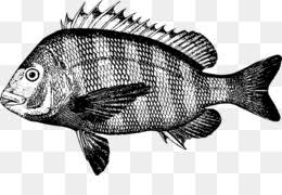 We did not find results for: Ikan Png Ikan Bakar Ikan Lele Ikan Bilis Ikan Nila Ikan Koi Ikan Hias Logo Ikan Ikan Hiu Ikan Tenggiri Ikan Laut Ikan Mas Ikan Goreng Ikan Teri Ikan Cupang Ikan