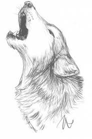 Animal Wolf Pencil Realistic Animals Realistic Animal Drawings Wolf Sketch Easy Animal Drawings