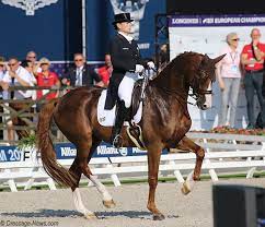 Hon är även den ryttare som vunnit flest gånger på rad i tyska mästerskapen. Isabell Werth Into 2020 Ranked Top With Bella Rose And First Rider As Year End No 1 On 2 Different Horses Dressage News