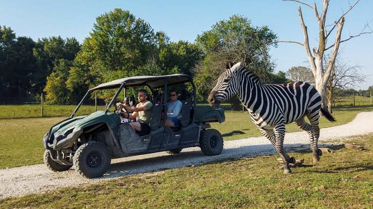 Aikman Wildlife Adventure