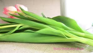 Mix in flower food and dissolve the food completely. 3 Quick Tips To Make Tulips Last Longer Roots North South