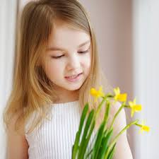 Daffodils at the window stock photo. Image of natural