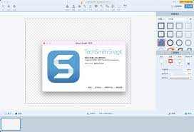 Snagit mac破解版-Snagit for mac(强大的屏幕截图工具)- Mac下载