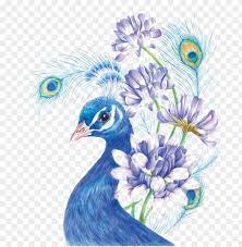 Here s another tutorial video. Coloured Pencil Drawing Birds Png Image With Transparent Background Toppng