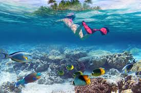 Hier Wil Je Snorkelen De 8 Mooiste Snorkel Spots Ter Wereld