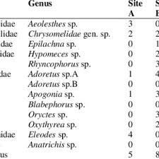 Dan selat melaka di barat. Pdf A Pictorial Key For The Identification Of Beetle Order Coleoptera And Diversity Study In Selected Area Within Pelangai Forest Reserve Negeri Sembilan Malaysia