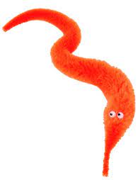 Decorate your laptops, water bottles, notebooks and windows. Worm On A String Photos Facebook