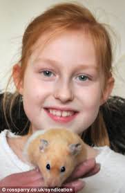 Escaped hamster that crawled into drain pipe emerges unscathed