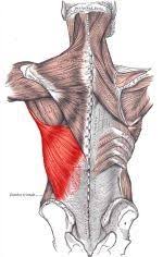 Pin On Massage Benefits